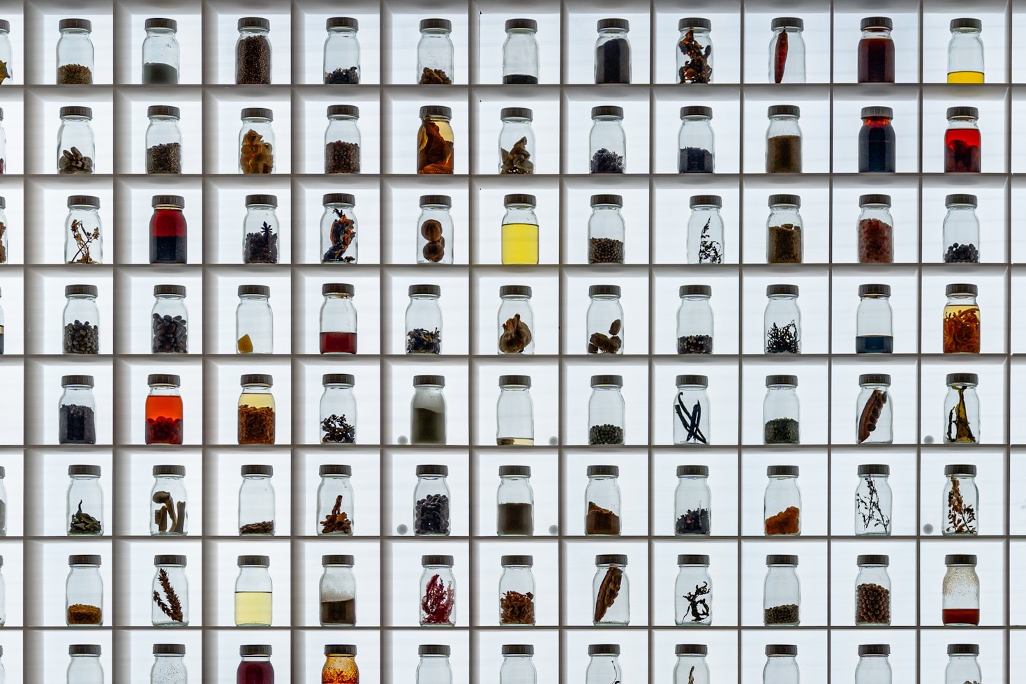 How to Master Basic Fermentation Techniques